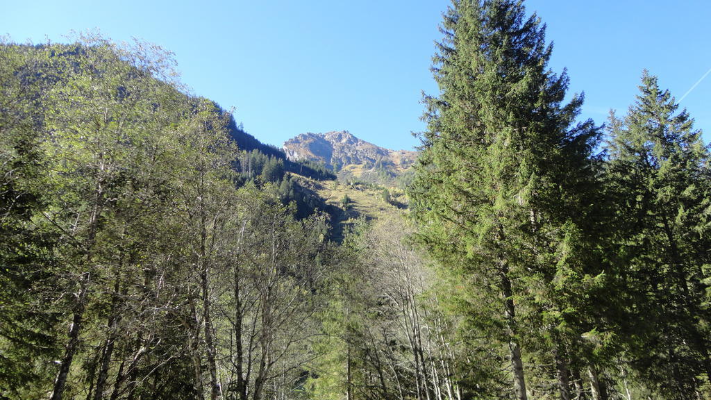 Haus Schraberger Appartement Schladming Buitenkant foto